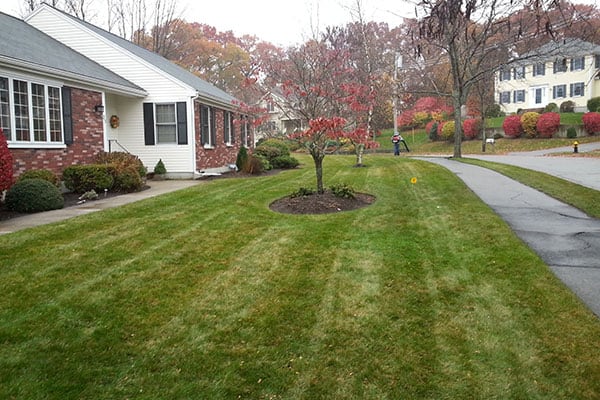Fall Yard Clean Ups by Steves Services