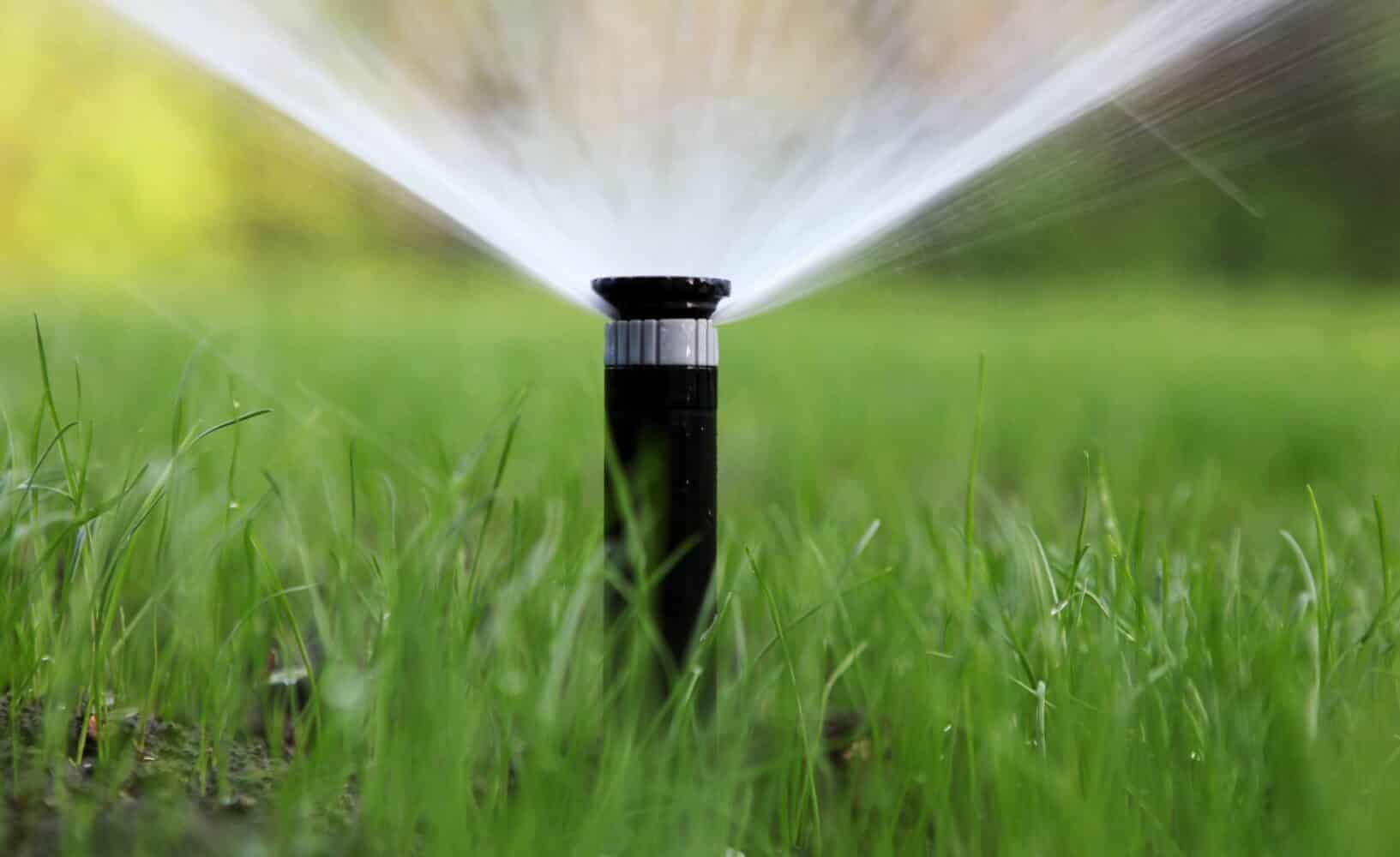 The Importance of Irrigation System Installation for a Healthy Lawn