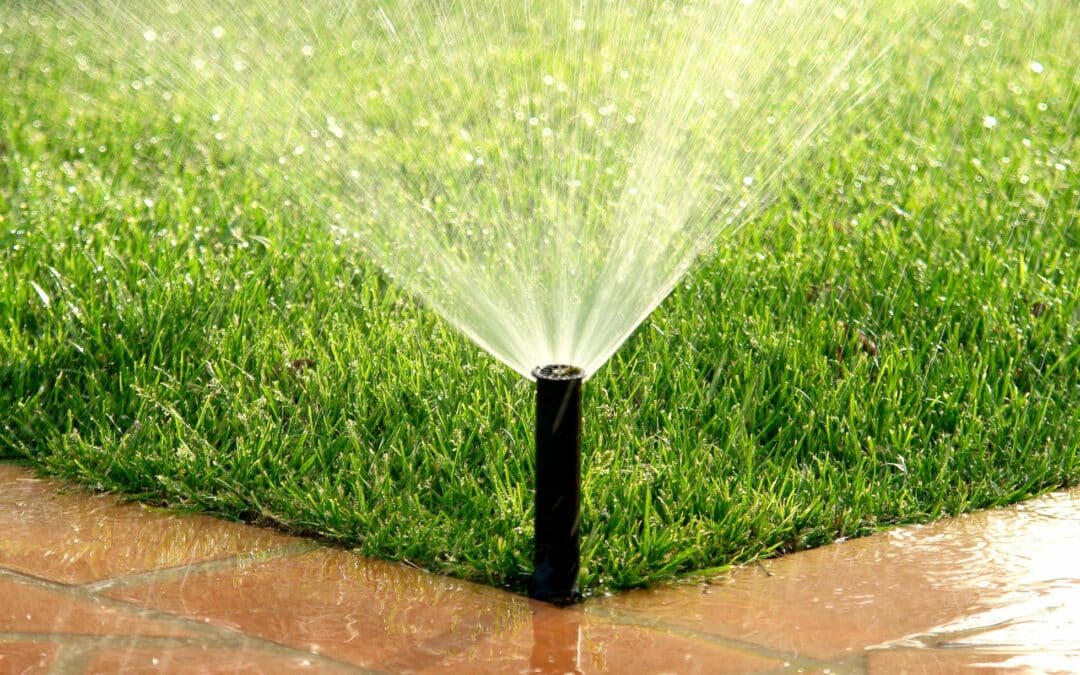 💧 Efficient Irrigation System Installation: How to Maximize Water Conservation with Steve’s Services! 💧