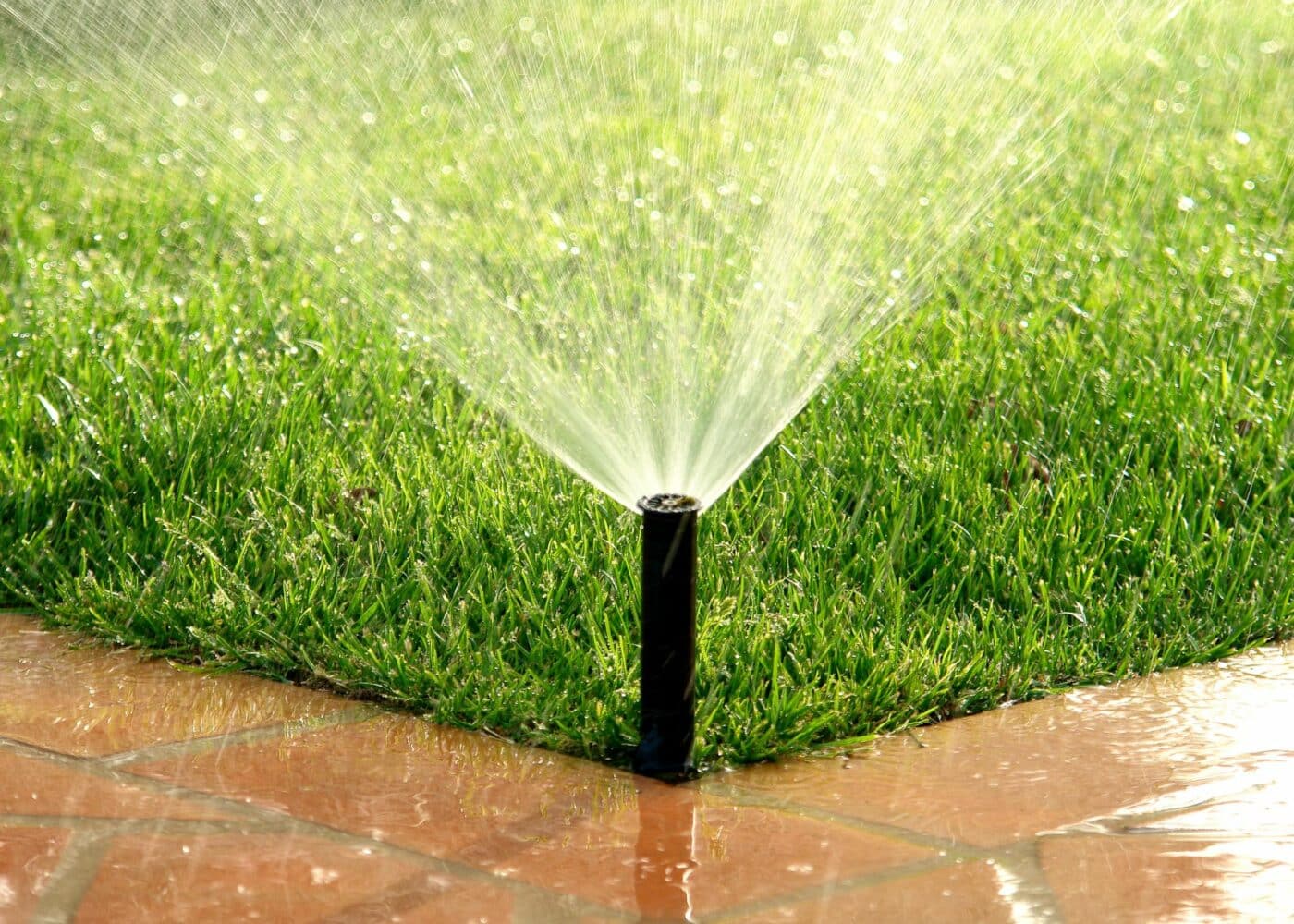 💧 Efficient Irrigation System Installation: How to Maximize Water Conservation with Steve’s Services! 💧