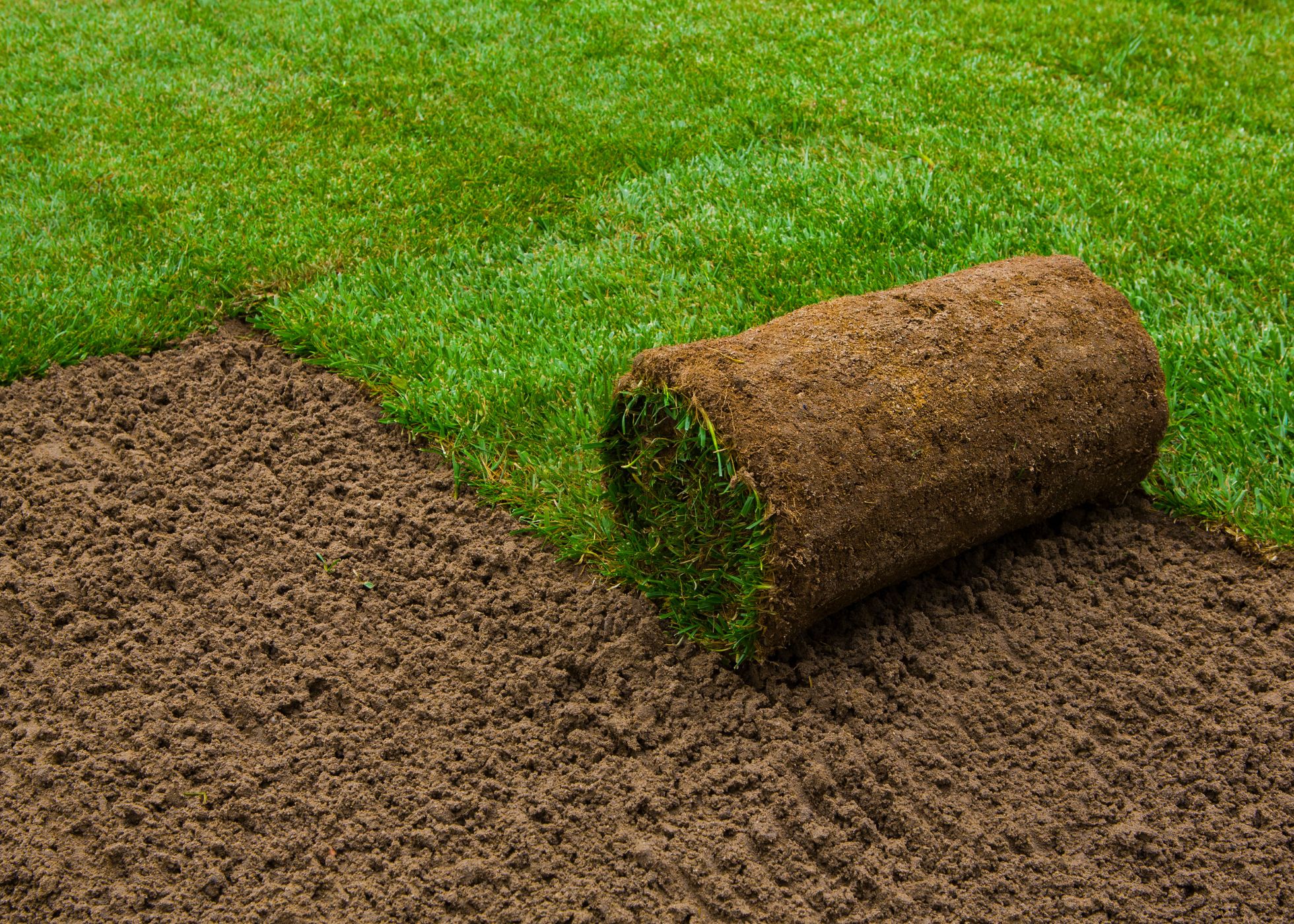 🌱 New Lawn Installation: The Best Time to Plant and Tips for Maintenance with Steve’s Services! 🌱