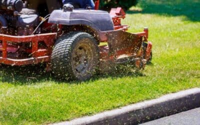 The Importance of Proper Lawn Care: Tips for Successful New Lawn Installation