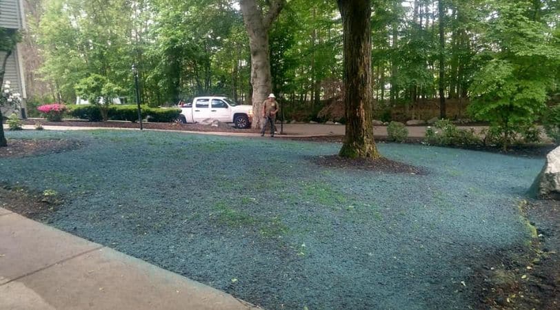 New Lawn Installs by Steve's Services Malden, MA