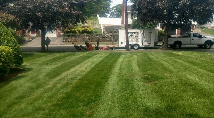 Landscaping Services by Steve's Services Malden, MA