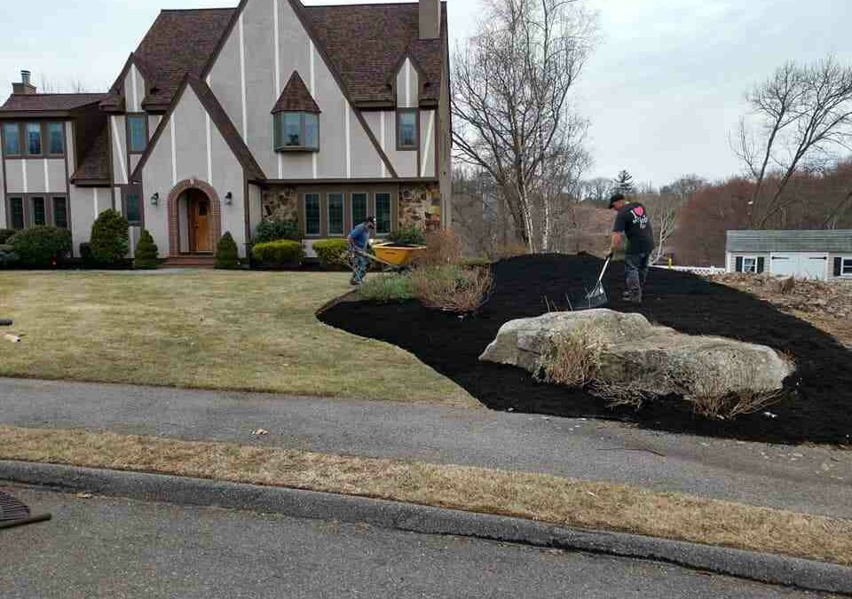 Simplify Your Landscaping: Order Bagged Mulch with Ease