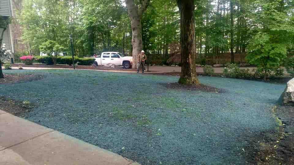 Best Black Mulch Delivery Options: A Local Buyer’s Guide