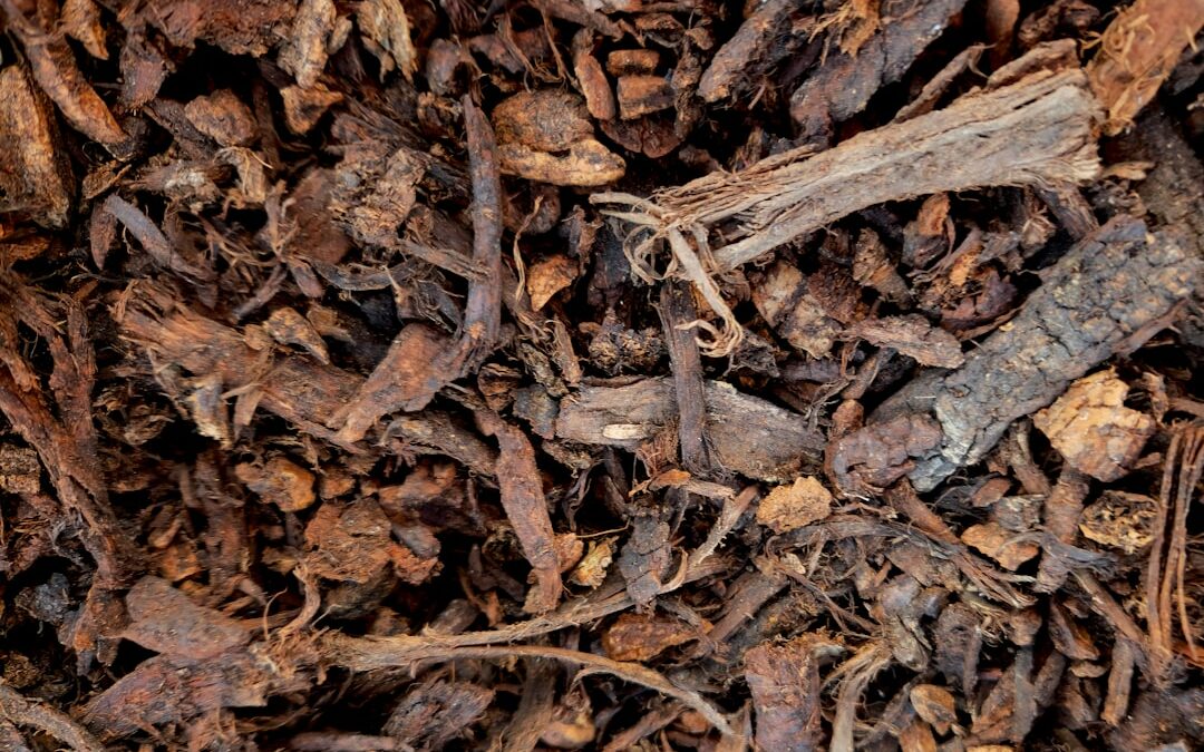 Explore Your Options for Purchasing Mulch in Bulk