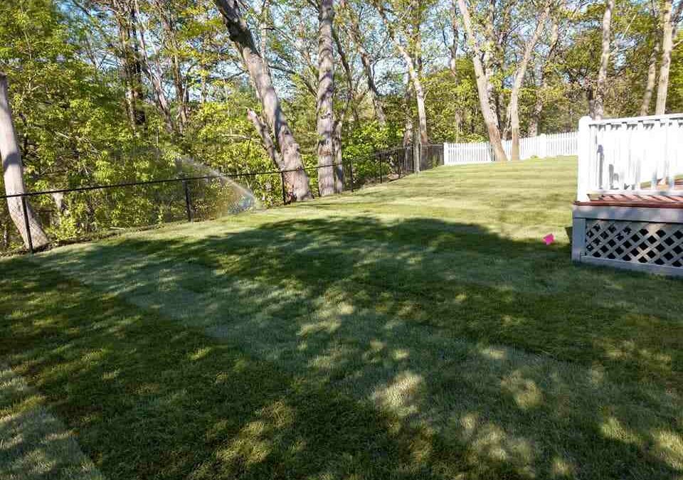 Invest in Green: Understanding the Costs of New Lawn Installation