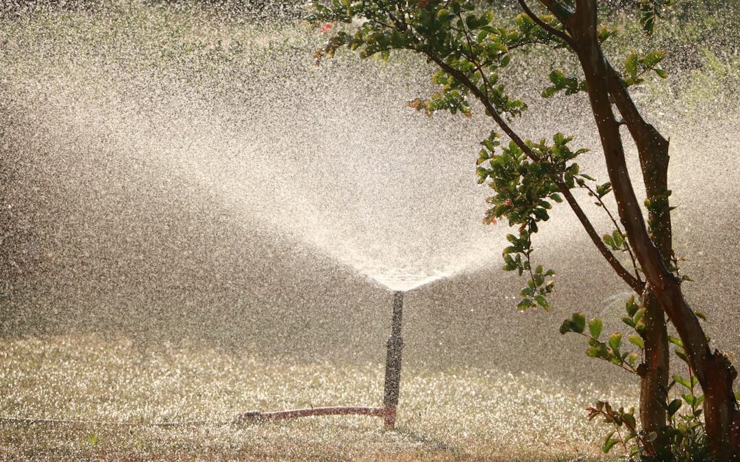 Repair Your Sprinkler System: Step-by-Step Guide