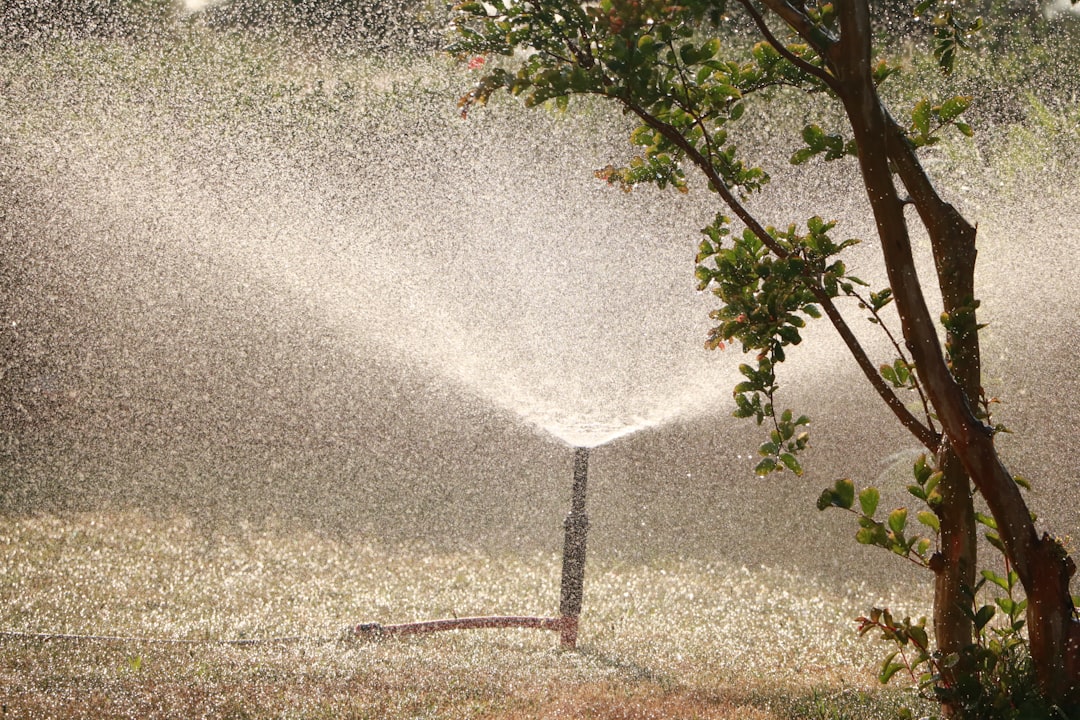 Repair Your Sprinkler System: Step-by-Step Guide