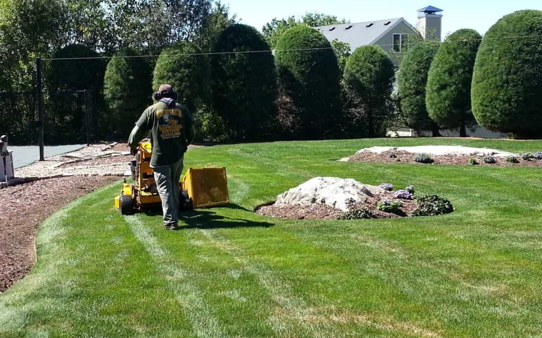 Navigating Landscape Cleanup: Costs and Considerations for Your Yard