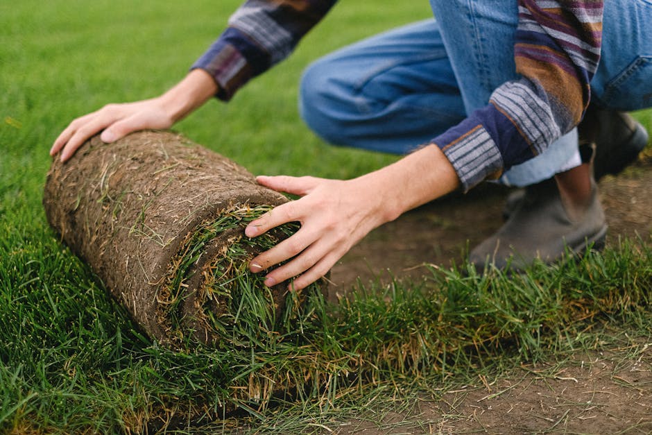 From Delivery to Dirt: Mastering the Art of Sod Lawn Installation