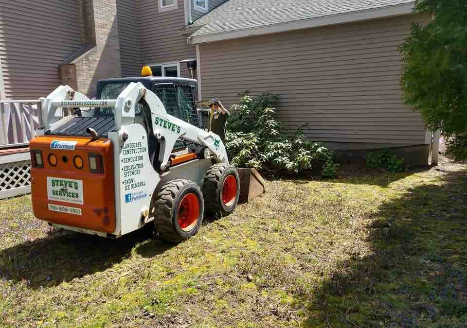 Tree Pruning Demystified: Techniques and Timing for Healthy Trees