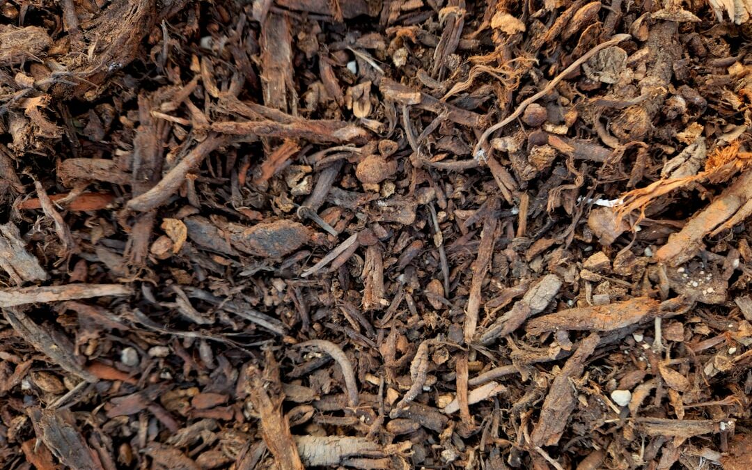 The Ultimate Guide to Using Bark for Mulching