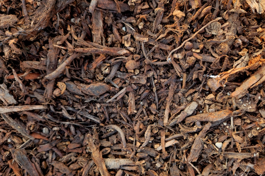 The Ultimate Guide to Using Bark for Mulching