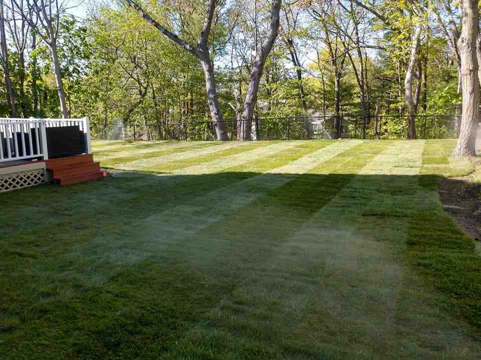 Your Guide to Finding Reliable Lawn Mowing Services Nearby