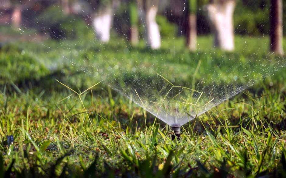 From Pipes to Sprinklers: How Irrigation Systems Function