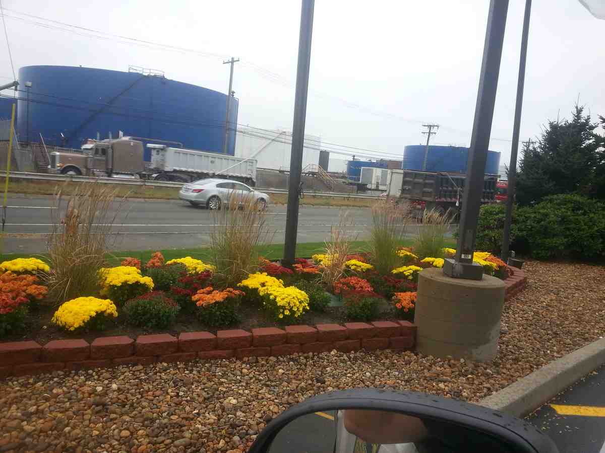 Your Guide to Melrose’s Premier Commercial Landscaping Companies