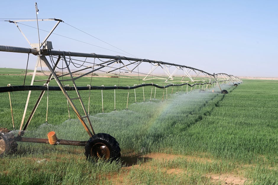 Drip Irrigation Essentials: Kits, Supplies, and Accessories for Professionals