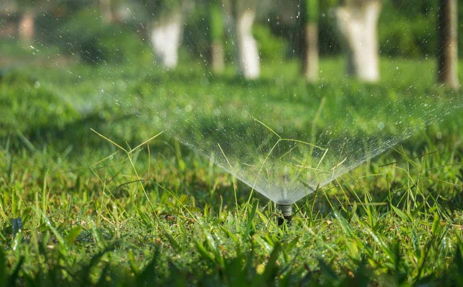 Garden Sprinklers and Watering Systems: Which Should You Buy?