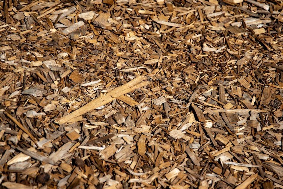 From Yard to Garden: The Best Bulk Mulch Options