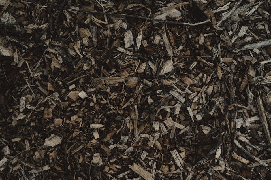 Bark in Bulk: Uncover the Best Local Deals