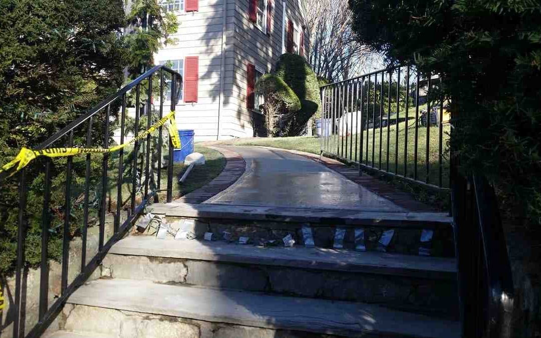 Your Guide to Landscape Design in New Malden