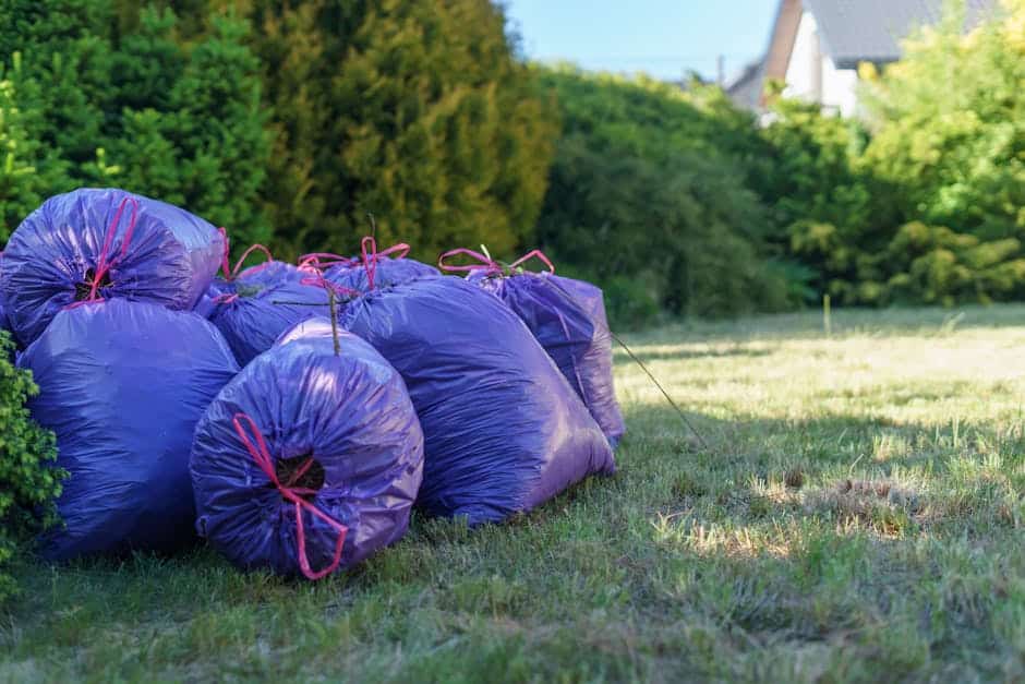 Blossom with the Best: Finding Spring Clean-Up Landscapers Near You Blossom with the Best: Finding Spring Clean-Up Landscapers Near You