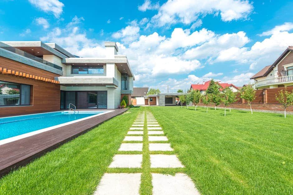 The Definitive Guide to Finding the Best Sod Fertilizer