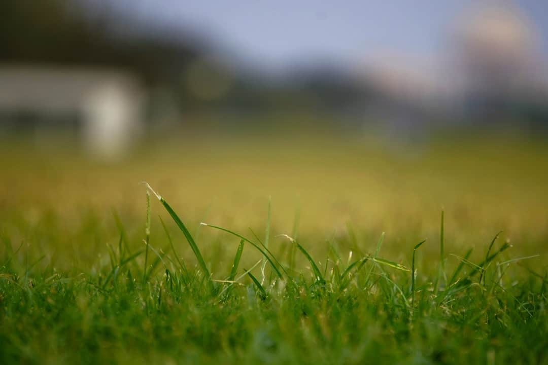 A Quick Start Guide to Professional Lawn Installation Services