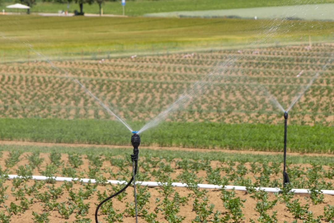 How to Go Green with a Water Efficient Sprinkler System How to Go Green with a Water Efficient Sprinkler System