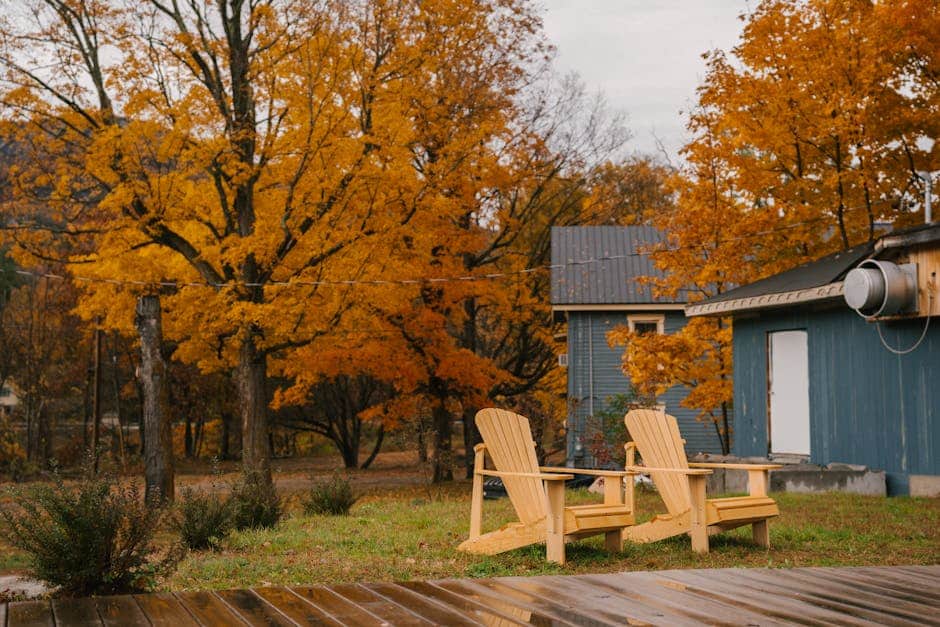 Feed Your Lawn Right This Fall with These Fertilizers