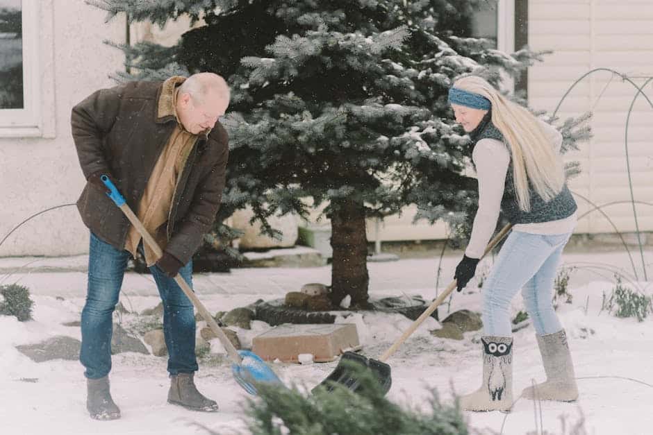 Helping Hands for Snowy Days: Programs and Services for Senior Snow Removal