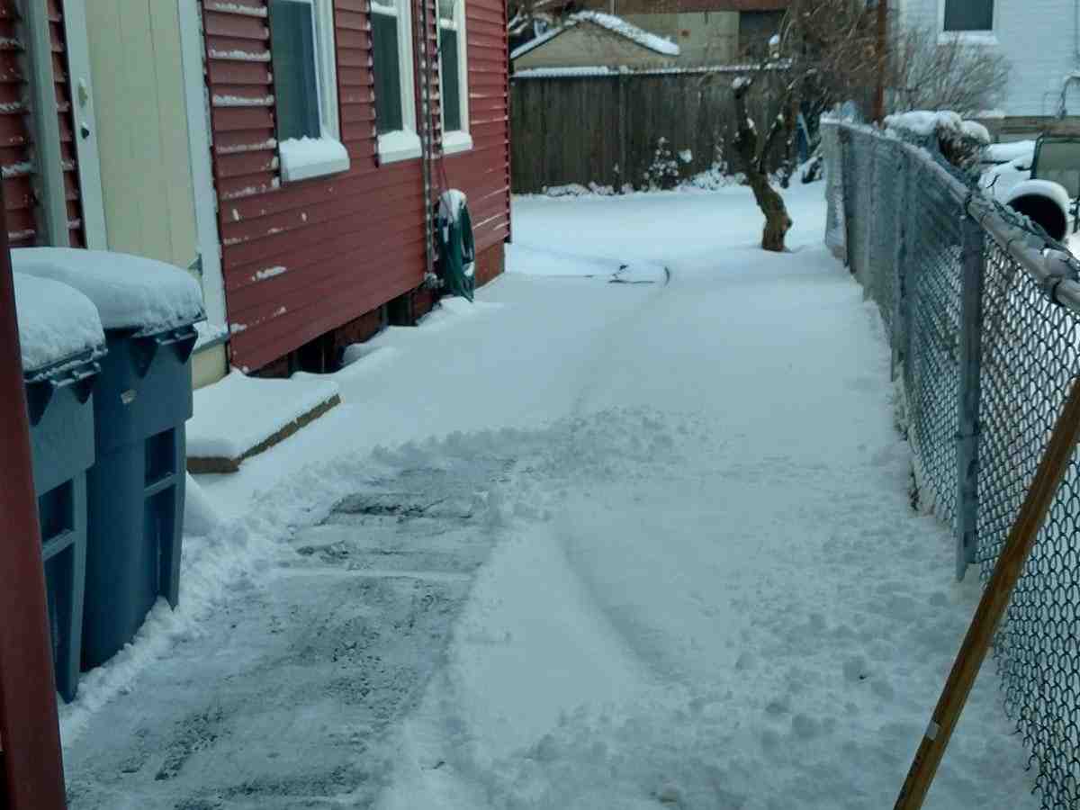 The Price of Pristine Paths: Understanding Snow Shoveling Expenses