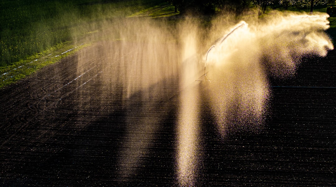 The Price of Green: How Much Does a New Sprinkler System Really Cost?