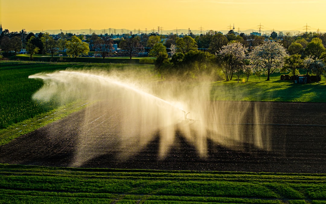 The Complete Guide to Sprinkler System Cost and Pricing