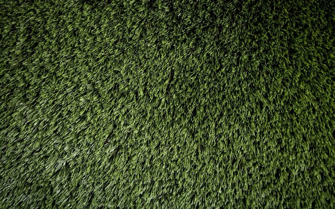 The Great Sod Debate: How Much Does Fescue and St. Augustine Sod Really Cost Per Square Foot?