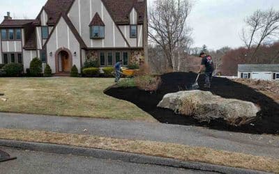 Practical Tips for a Pristine Spring Garden Cleanup