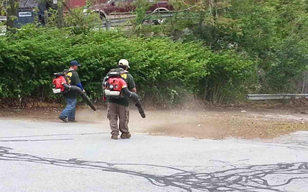 How to Tackle Backyard Cleaning: A Step-by-Step Guide for a Beautiful Outdoor Oasis