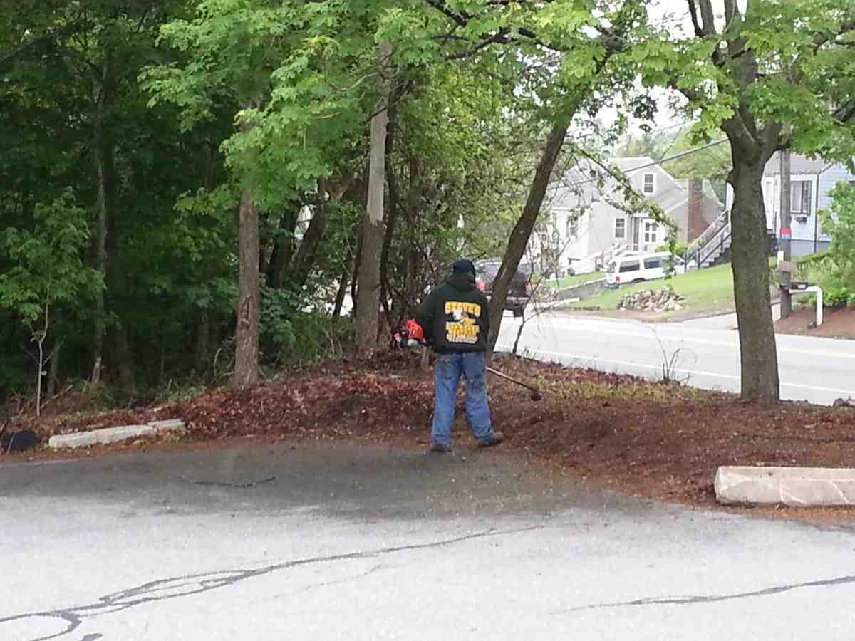 Everything You Need to Know About Professional Yard Cleanup Services