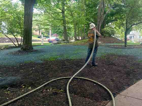 Hydroseeding Pro Tips for a Lush Landscape