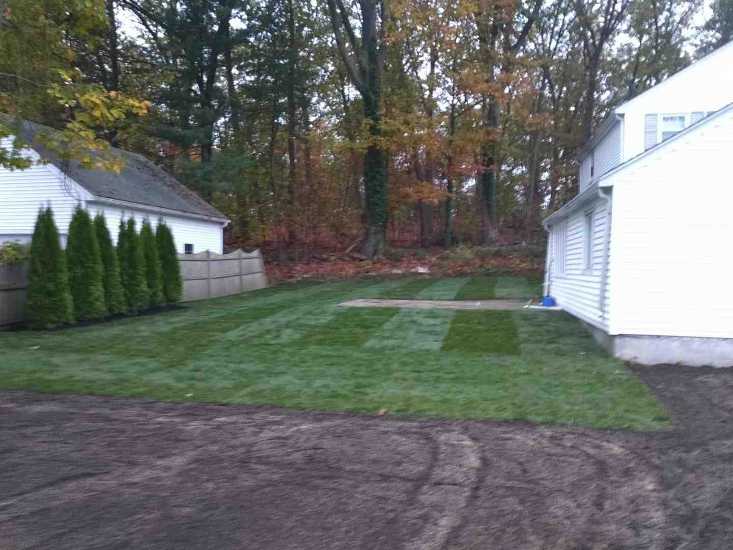 How to Care for New Bermuda Grass Sod without Losing Your Mind