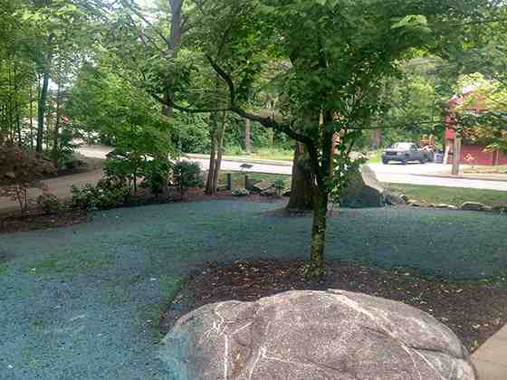 Wakefield’s Greenest Secrets: How Hydroseeding Services Can Save Your Lawn