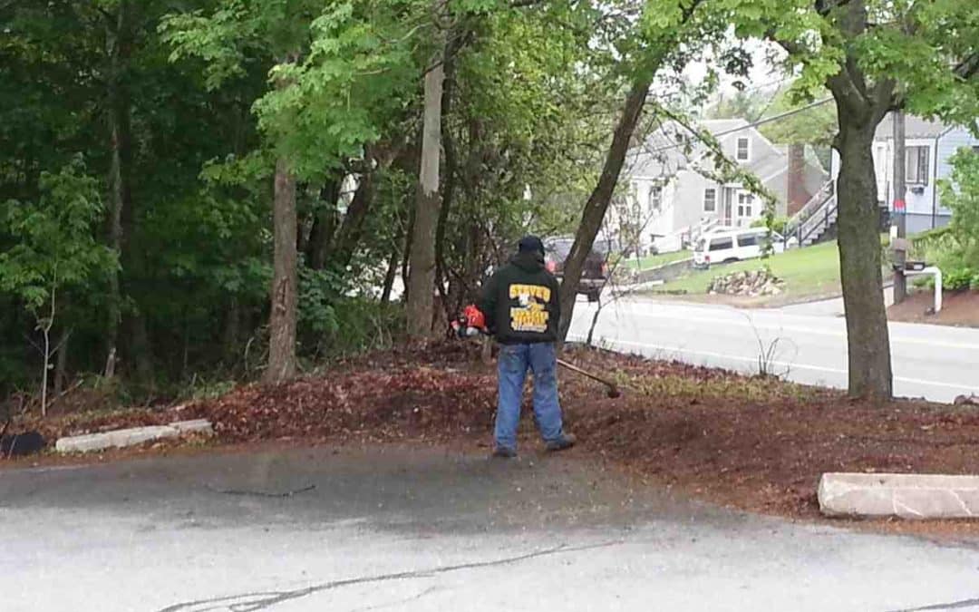 How to get affordable bark mulch Saugus homeowners actually love