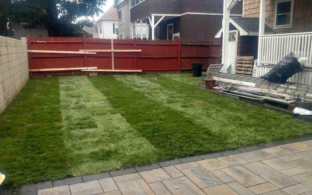 Sod Pricing Guide: Don’t Get Buried in Installation Fees
