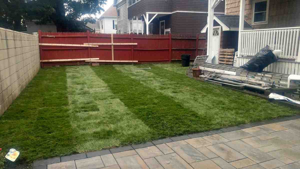 Sod Pricing Guide: Don’t Get Buried in Installation Fees Sod Pricing Guide: Don’t Get Buried in Installation Fees