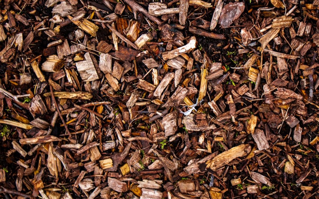 Beginner’s Guide to Brown Mulch