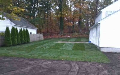 Burlington Lawn Installation 101: Sod, Seed, and Everything in Between